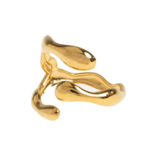 Load image into Gallery viewer, Clara - Claw Ring Stainless Steel