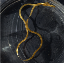 Load image into Gallery viewer, Ivy - Snake Chain Necklace Stainless Steel