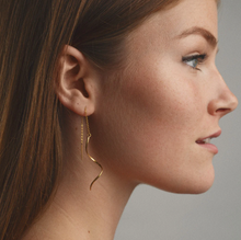 Load image into Gallery viewer, Tina - Swirly Shape Chain Earrings - Stainless Steel