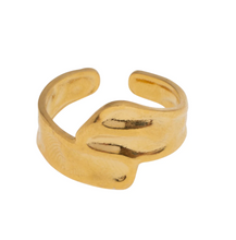 Load image into Gallery viewer, Lyse - Organic Shaped Ring Stainless