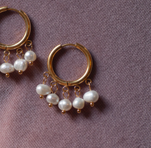 Load image into Gallery viewer, Estelle - Pearl Hoop Earrings
