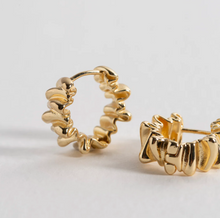 Load image into Gallery viewer, Wild Chunky Texture Hoop Earrings