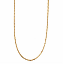 Load image into Gallery viewer, Nori Link Chain Necklace Stainless Steel