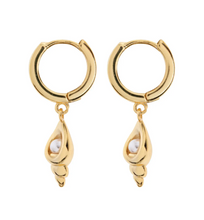 Load image into Gallery viewer, Rafi Seashell Hoop Earrings
