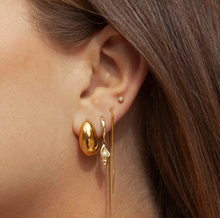 Load image into Gallery viewer, Rafi Seashell Hoop Earrings