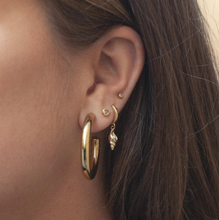 Load image into Gallery viewer, Rafi Seashell Hoop Earrings
