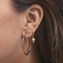 Load image into Gallery viewer, Rafi Seashell Hoop Earrings