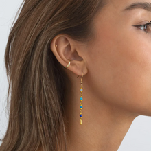 Load image into Gallery viewer, Jasper Bead Earrings Stainless Steel