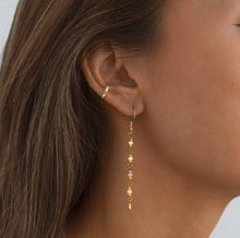 Load image into Gallery viewer, Jasper Bead Earrings Stainless Steel