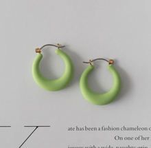 Load image into Gallery viewer, Donna Plastic Hoop Earrings