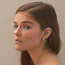 Load image into Gallery viewer, Olivia Crystal Charm Hoop Earrings