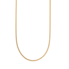 Load image into Gallery viewer, Sam Basic Fine Chain Necklace Stainless Steel