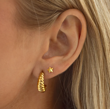 Load image into Gallery viewer, Vega Small Star Stud Earrings