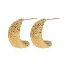 Load image into Gallery viewer, Ezri Walnut Stud Earrings Stainless Steel