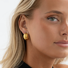 Load image into Gallery viewer, Ezri Walnut Stud Earrings Stainless Steel