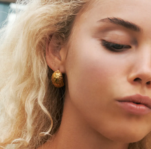 Load image into Gallery viewer, Ezri Walnut Stud Earrings Stainless Steel