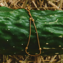 Load image into Gallery viewer, Isabella Snake Ball Chain Necklace Stainless Steel