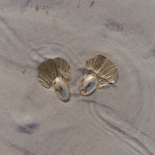 Load image into Gallery viewer, Soli Statement Stud Earrings Stainless Steel