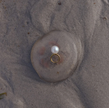 Load image into Gallery viewer, Essie Pearl Hoop Earrings