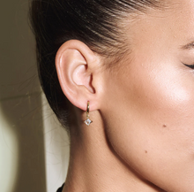 Load image into Gallery viewer, Cindy Crystal Diamond Hoop Earrings