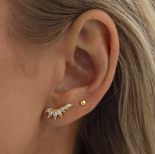 Load image into Gallery viewer, Zubi Crystal Leaf Ear Climber Earrings