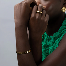 Load image into Gallery viewer, Liv Crystal Clover Bangle Stainless Steel