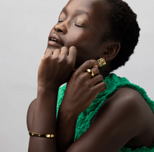 Load image into Gallery viewer, Liv Crystal Clover Bangle Stainless Steel