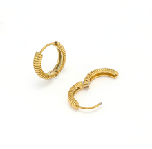 Load image into Gallery viewer, Vivia Ribble Hoop Earrings Stainless Steel