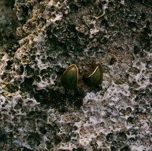 Load image into Gallery viewer, Carin Green Resin Hoop Earrings Stainless Steel