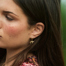 Load image into Gallery viewer, Quinn Leopard Hoop Earrings