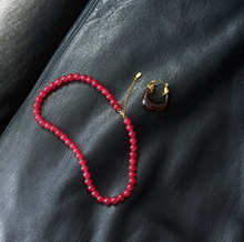 Load image into Gallery viewer, Carmen Resin Earrings Stainless Steel