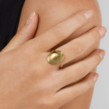 Load image into Gallery viewer, Ane Seashell Open Ring Stainless Steel