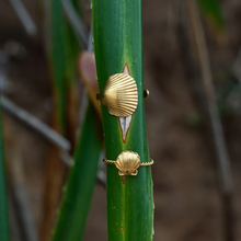 Load image into Gallery viewer, Ane Seashell Open Ring Stainless Steel