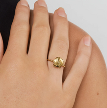 Load image into Gallery viewer, Penny Seashell Adjustable Ring Stainless Steel