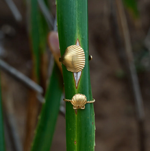 Load image into Gallery viewer, Penny Seashell Adjustable Ring Stainless Steel