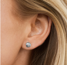 Load image into Gallery viewer, Ane Seashell Stud Earrings Stainless Steel