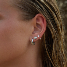 Load image into Gallery viewer, Ane Seashell Stud Earrings Stainless Steel