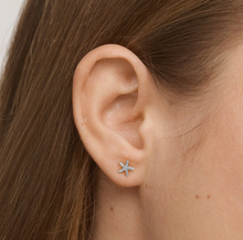 Load image into Gallery viewer, Solana Mini Starfish Stud Earrings
