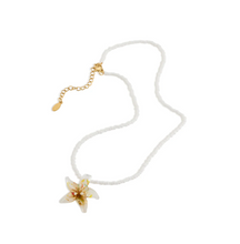 Load image into Gallery viewer, Sarafina Glass Starfish Necklace Stainless Steel