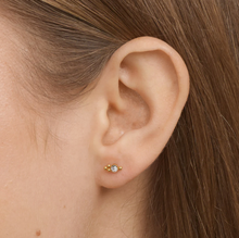 Load image into Gallery viewer, Bibi Crystal Stud Earrings Stainless Steel