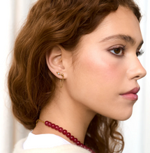 Load image into Gallery viewer, Bibi Crystal Stud Earrings Stainless Steel