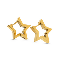 Load image into Gallery viewer, Wild Star Hoop Earrings