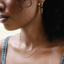 Load image into Gallery viewer, Silvia Double Snake Chain Necklace Stainless Steel
