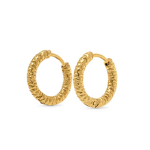 Load image into Gallery viewer, Torun Hoop Earrings 16mm Stainless Steel
