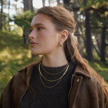 Load image into Gallery viewer, Naia Croissant Hoop Earrings Stainless Steel