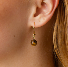 Load image into Gallery viewer, Birgit Tiger Eye Earrings Stainless Steel