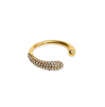 Load image into Gallery viewer, Tolouse Open Crystal Ring Stainless Steel
