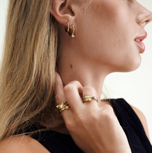 Load image into Gallery viewer, Nilea Crystal Hoop Earrings Stainless Steel