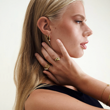 Load image into Gallery viewer, Nilea Crystal Hoop Earrings Stainless Steel