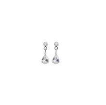 Load image into Gallery viewer, Roslyn Crystal Stud Earrings Stainless Steel